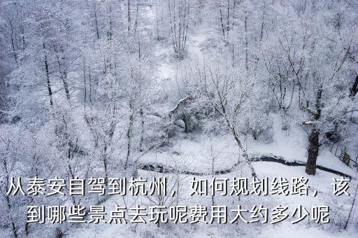 泰安到杭州自駕要多少油錢,從泰安自駕到杭州