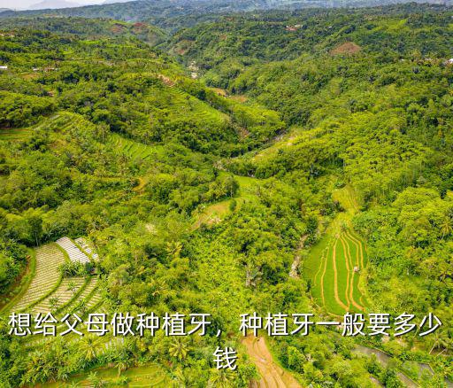 東莞種植牙一般收多少錢,種植牙一般要多少錢