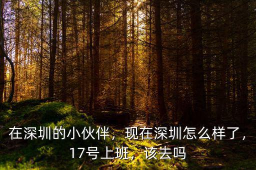 在深圳的小伙伴，現在深圳怎么樣了，17號上班，該去嗎