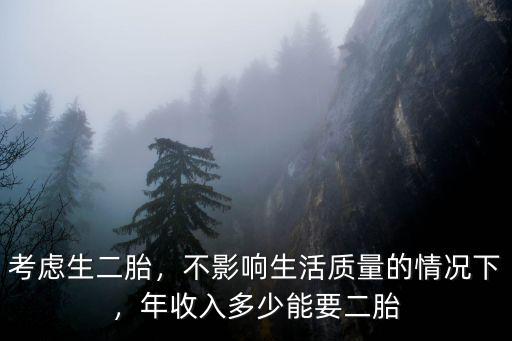 杭州家庭年收入多少生二胎,年收入多少能要二胎