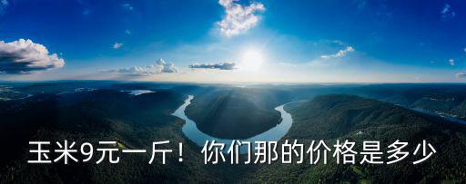 菏澤玉米價格多少錢一斤,老百姓賣多少錢一斤