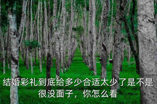 結(jié)婚彩禮到底給多少合適太少了是不是很沒面子，你怎么看