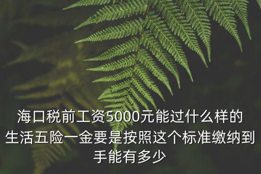 海口稅前工資5000元能過什么樣的生活五險一金要是按照這個標(biāo)準(zhǔn)繳納到手能有多少