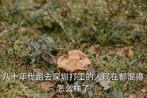 八十年代跑去深圳打工的人現在都混得怎么樣了