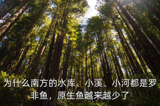 為什么南方的水庫、小溪、小河都是羅非魚，原生魚越來越少了