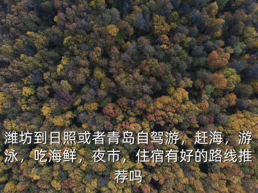 日照到濰坊濰城多少公里,濰坊到日照或者青島自駕游