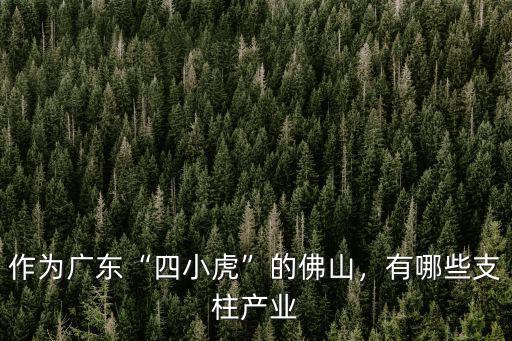 作為廣東“四小虎”的佛山，有哪些支柱產業