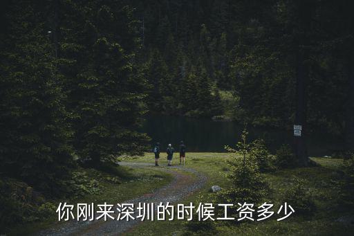 你剛來深圳的時(shí)候工資多少