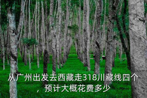 廣州自駕全國(guó)要多少錢,三個(gè)月全國(guó)自駕游要多少費(fèi)用