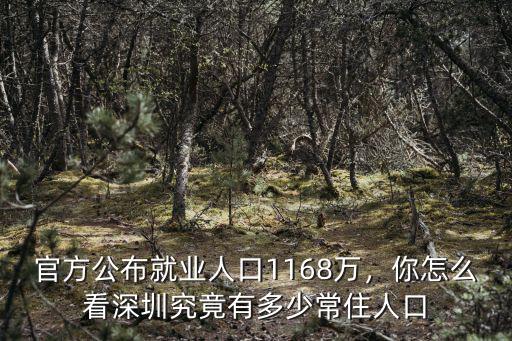 最新深圳有多少人口,深圳究竟有多少常住人口