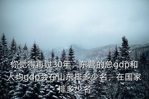 山東人均gdp在全國排名多少,山東的經濟在全國排名怎么樣