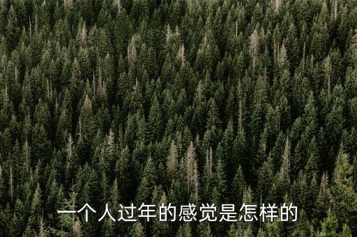 一個人過年的感覺是怎樣的