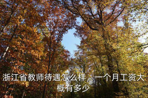 紹興教師到手工資多少錢,中小學一級教師的工資是多少