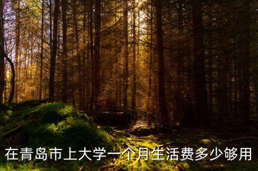 青島市一個月消費多少錢,一個月賺多少錢算是高收入