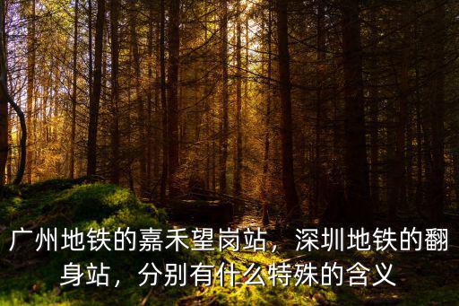 廣州地鐵嘉禾望崗下來是哪里,廣州地鐵的嘉禾望崗站