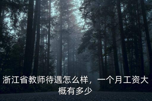 浙江省幼師在編工資是多少,浙江省教師待遇怎么樣