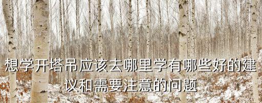 想學開塔吊應該去哪里學有哪些好的建議和需要注意的問題