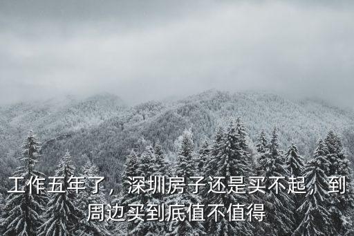工作五年了，深圳房子還是買不起，到周邊買到底值不值得