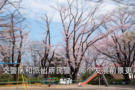 金華派出所民警工資是多少,交警隊和派出所民警