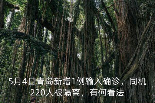 5月4日青島新增1例輸入確診，同機220人被隔離，有何看法