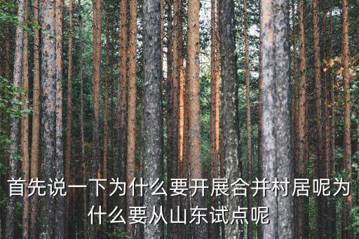 首先說一下為什么要開展合并村居呢為什么要從山東試點呢