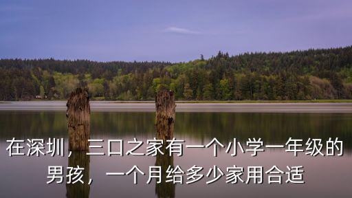 在深圳，三口之家有一個小學一年級的男孩，一個月給多少家用合適