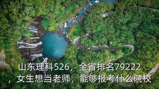 省內(nèi)排名多少可以報考山東理工大學(xué),山東理科526