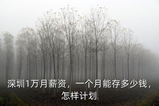 深圳商場月租多少錢一月,一個月能存多少錢