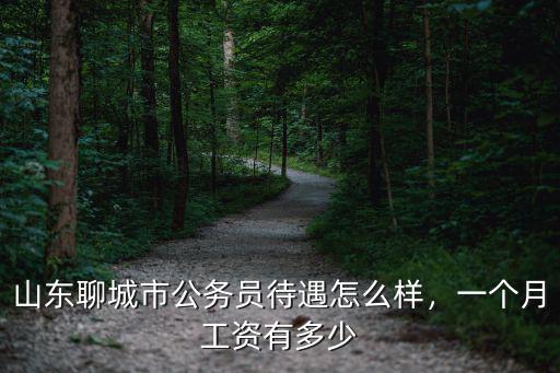 山東聊城市公務員待遇怎么樣，一個月工資有多少