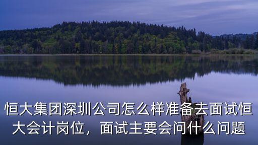 恒大深圳公司怎么樣,恒大集團深圳公司怎么樣
