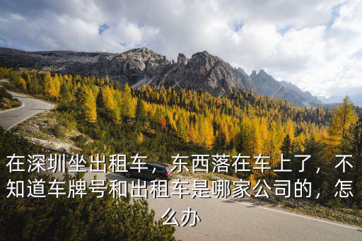 深圳正規(guī)出租車電話是多少,在深圳坐出租車