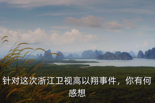 針對這次浙江衛視高以翔事件，你有何感想