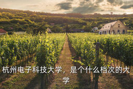 杭州電子科技大學，是個什么檔次的大學