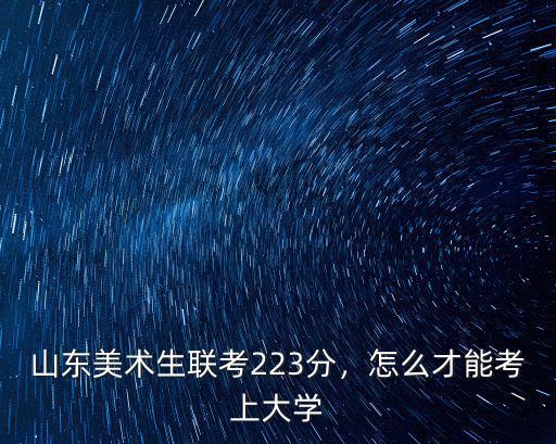 山東美術生聯考223分，怎么才能考上大學