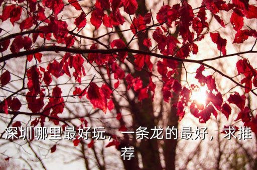 深圳哪里可以一條龍,深圳哪里最好玩