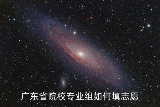 廣東前五十怎么填志愿,廣東省院校專(zhuān)業(yè)組如何填志愿