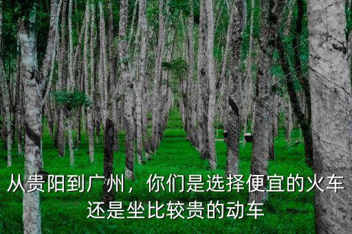 到廣州的動車怎么這么貴,從貴陽到廣州