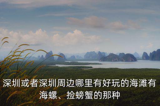 深圳或者深圳周邊哪里有好玩的海灘有海螺、撿螃蟹的那種