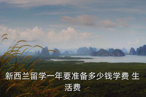 在濟南大學留學一年的學費多少錢,學費 生活費