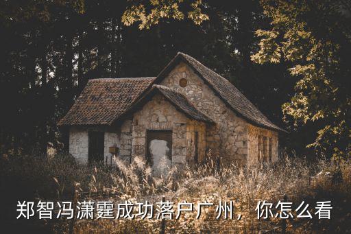 鄭智馮瀟霆成功落戶廣州，你怎么看