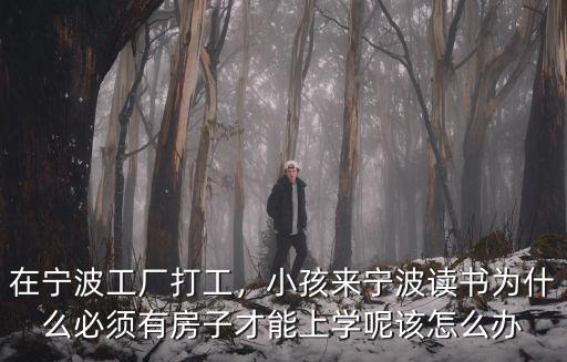寧波學區房多少平可以讀書,寧波市鎮海區有哪些學區房