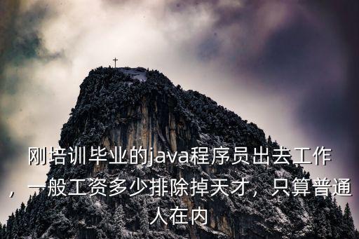 剛培訓(xùn)畢業(yè)的java程序員出去工作，一般工資多少排除掉天才，只算普通人在內(nèi)
