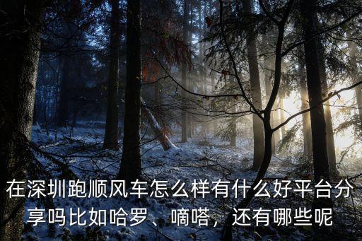 深圳嘀嗒順風車客服電話多少,在深圳跑順風車怎么樣