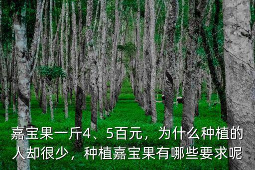 嘉寶果一斤4、5百元，為什么種植的人卻很少，種植嘉寶果有哪些要求呢