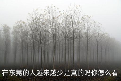 東莞的衰落網友怎么評價,在東莞的人越來越少是真的嗎
