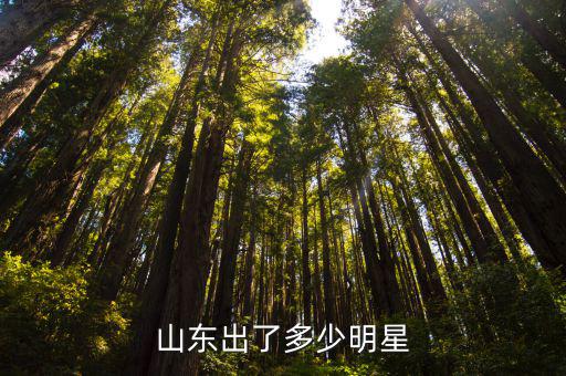山東出了多少明星