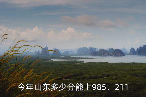 今年山東多少分能上985、211