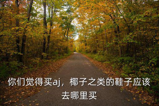 你們覺得買aj，椰子之類的鞋子應該去哪里買