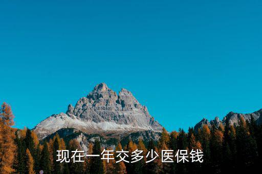 棗莊經濟學校一年交多少錢,現在一年交多少醫保錢