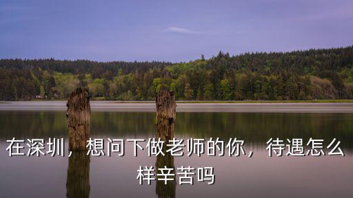 在深圳，想問下做老師的你，待遇怎么樣辛苦嗎